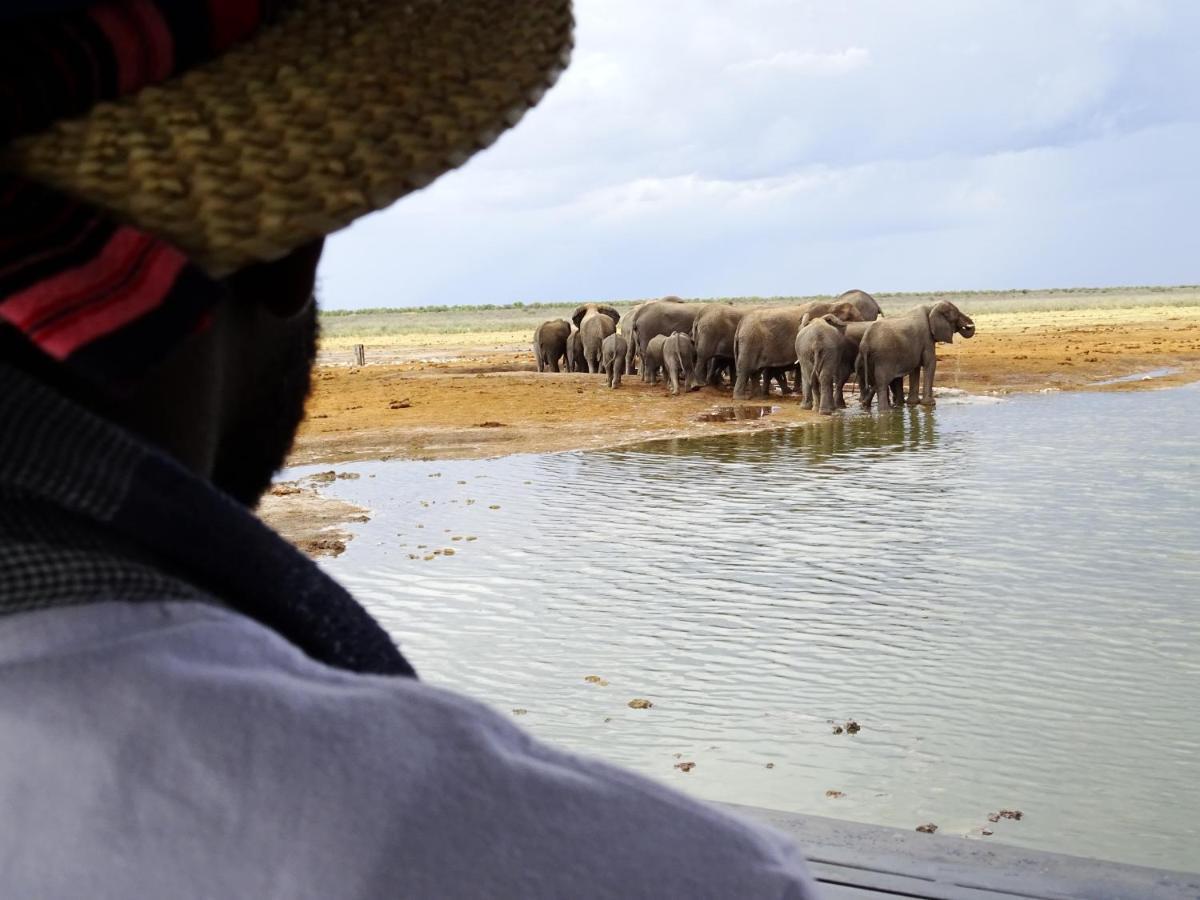 فيلا Etosha King Nehale Omuthiya المظهر الخارجي الصورة